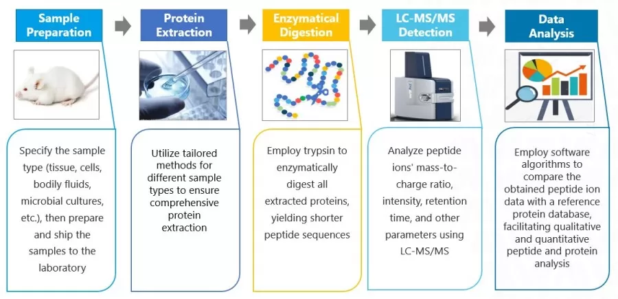 Label-Free Quantitative Proteomics workflow